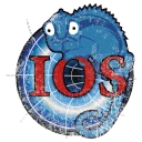 Illusion of Solitude