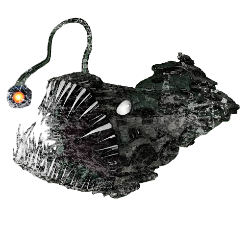 Cynosural Field Theory.