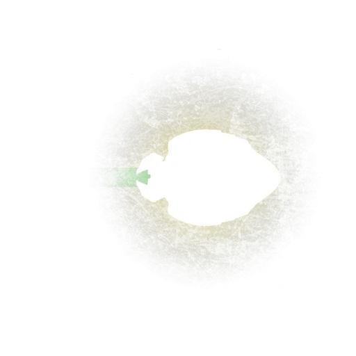 Convocation of Empyreans