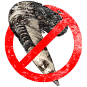 COSMOS Benevolent Society