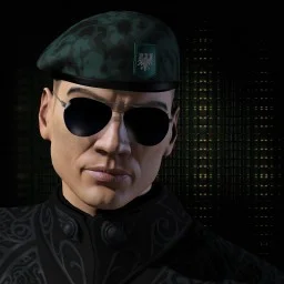 Vae Victi