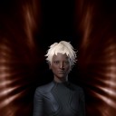 anarchichtys occellatus