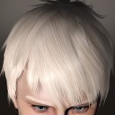 kotaneko