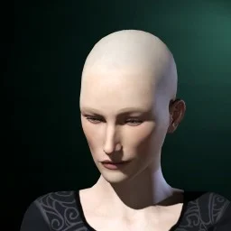 k Priscilla
