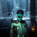 Snow leopard Felidae