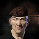 Sparkling Plagioclase