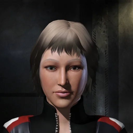 Customs Enforcement Officer