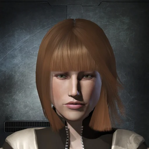 Permit Enforcement Officer