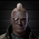 Assasei Atruss Hipploid