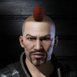 Vindictive Developer