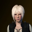 Hienkau SIlverwing