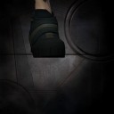 Lasi0dora Parahybana