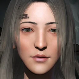 Dingzhen-Litang wang