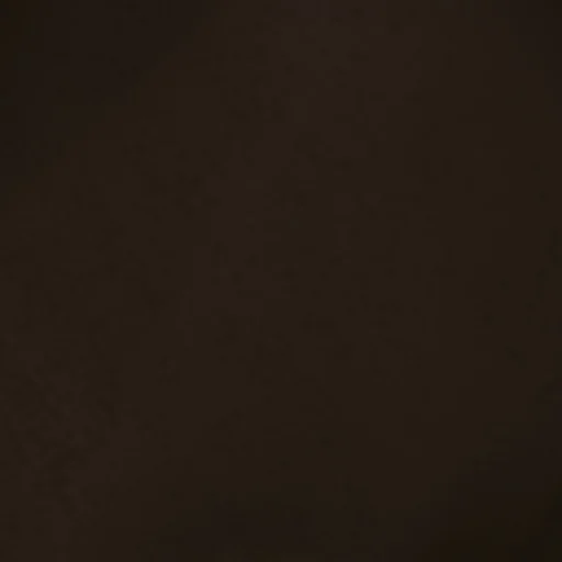 Chandim lIIlIIIllIlI