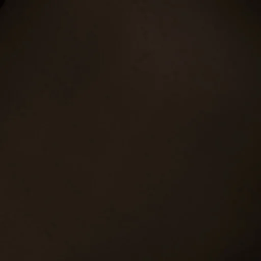 Chandim lIlIIIllIllI