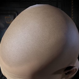 Professional ESS Thief