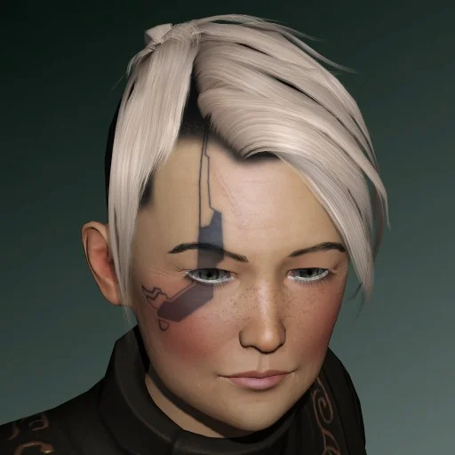 Scoudene Niere Audanie