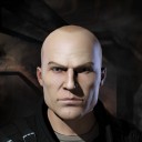 Poecilotheria regalis