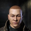 Dolomedes tenebrosus