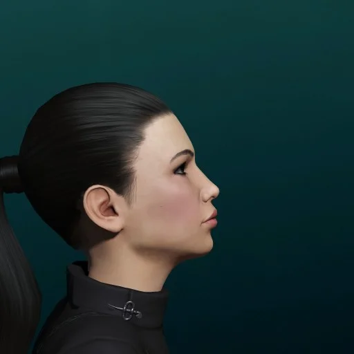 Mining Permit Enforcer