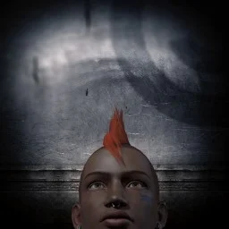 CovertFox