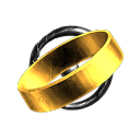 Singularity Dynamics