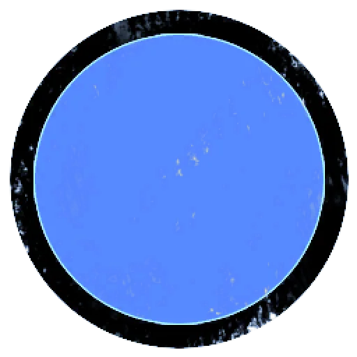 Blue Moon Holding LTD