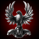 BLACK HAWK TACTICAL ATTACK SQUAD