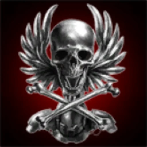 Black Skull Industries