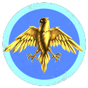 Swooping Hawk Fight With Paws