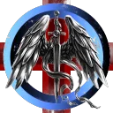 Order of Celestial Paladins