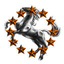 Liberal Combat Force