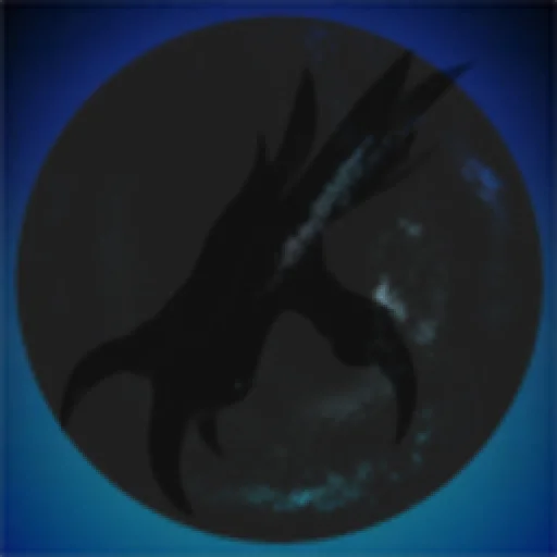 House of StormShadows