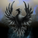 The Shadow Phoenix Fleet