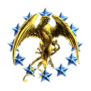 NAVY STAR