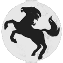 White Star Protection