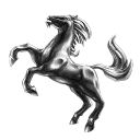 The Majestic Lipizzaners School