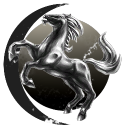 Order of the Minmatar knights