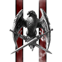 Caldari Prime Defense Grid