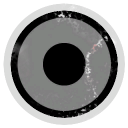 Subspace Exploration