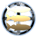 Ricercar Astral Research