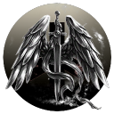 Knights of the Aesir