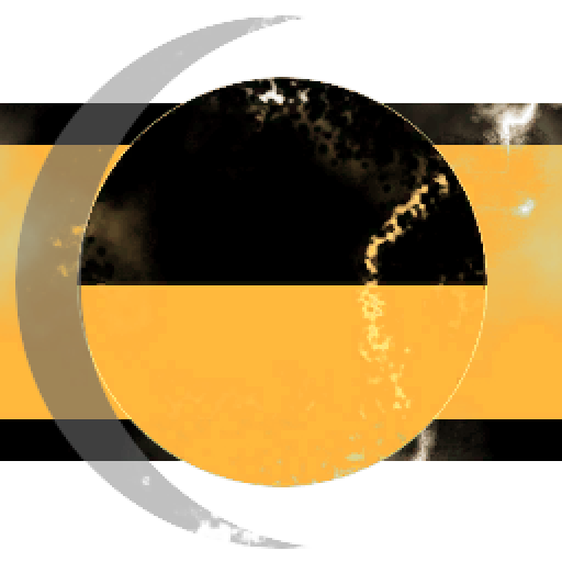 Black Galleon Investments