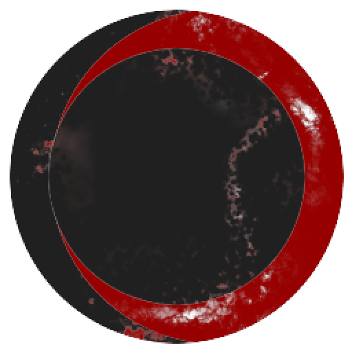 Dysfunctional erectiles