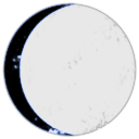 Gallente Freelancers