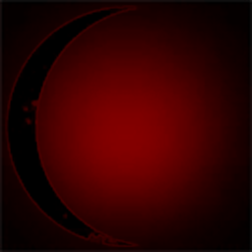 Red Dawn Mercenaries