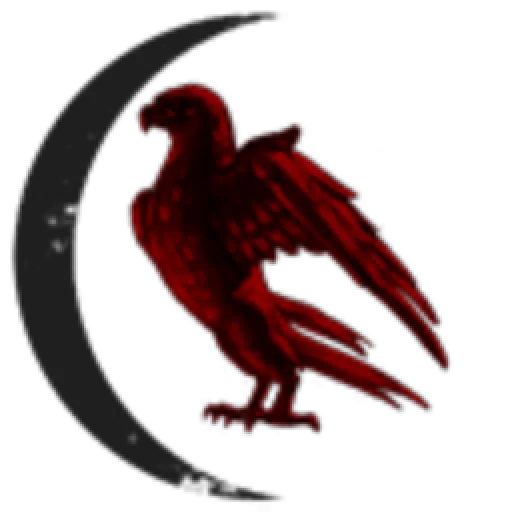 Coven of the Morrigan