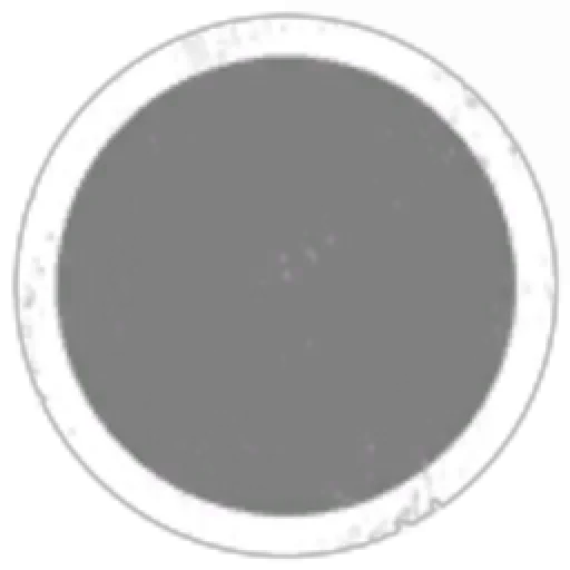 New Eden Corporation 98053009