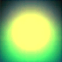 Tamarindus Indica Tree