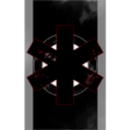 Dragon Swarm Federation